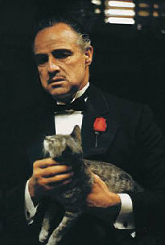 Illustration for article titled Poll: Who Is Your Favorite Famous Feline?